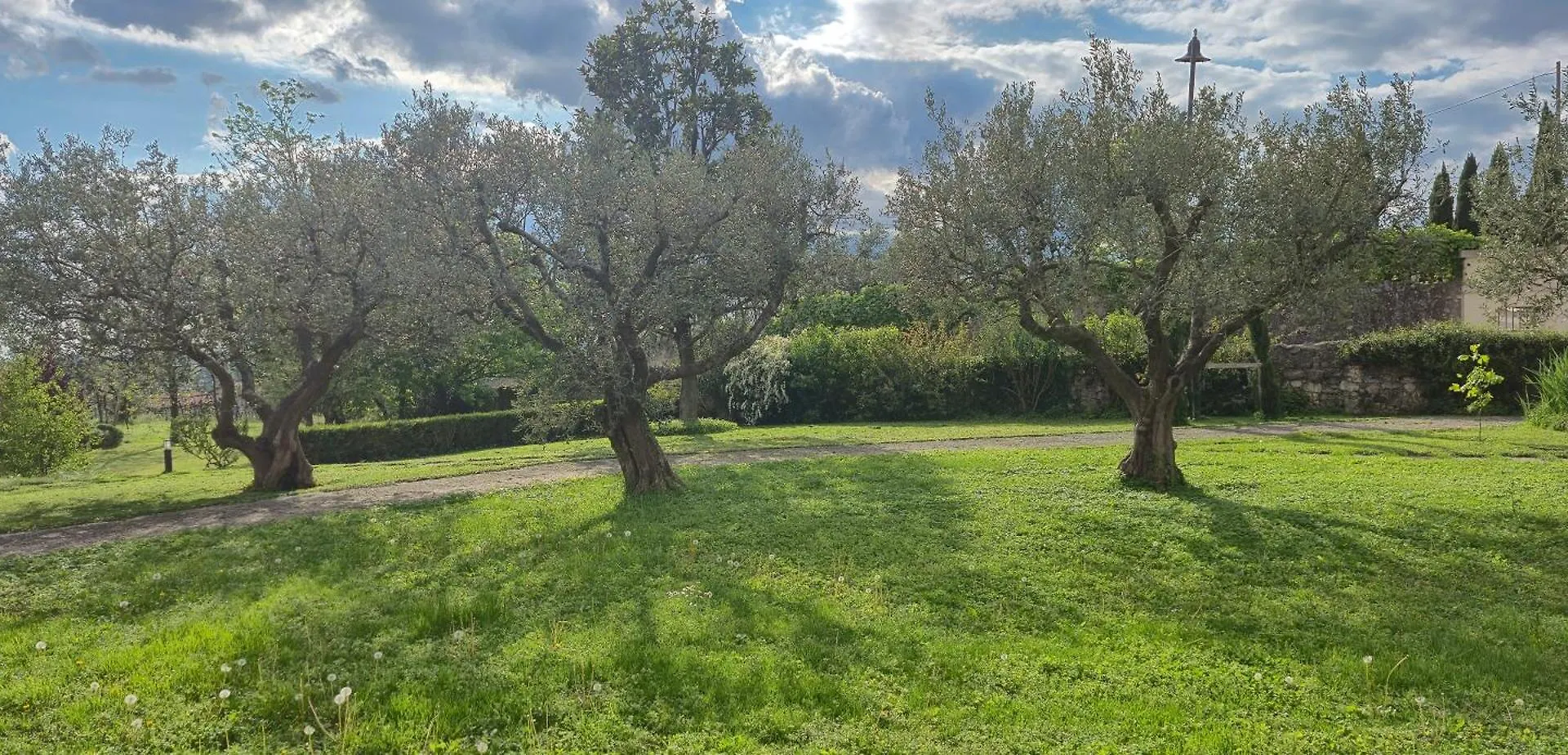 Agriturismo Carpinonero Colognola ai Colli